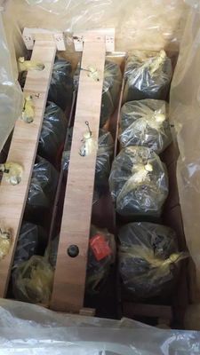 Одноцилиндровый A10vg28 гидравлический поршневый насос для экскаваторов и строительных машин